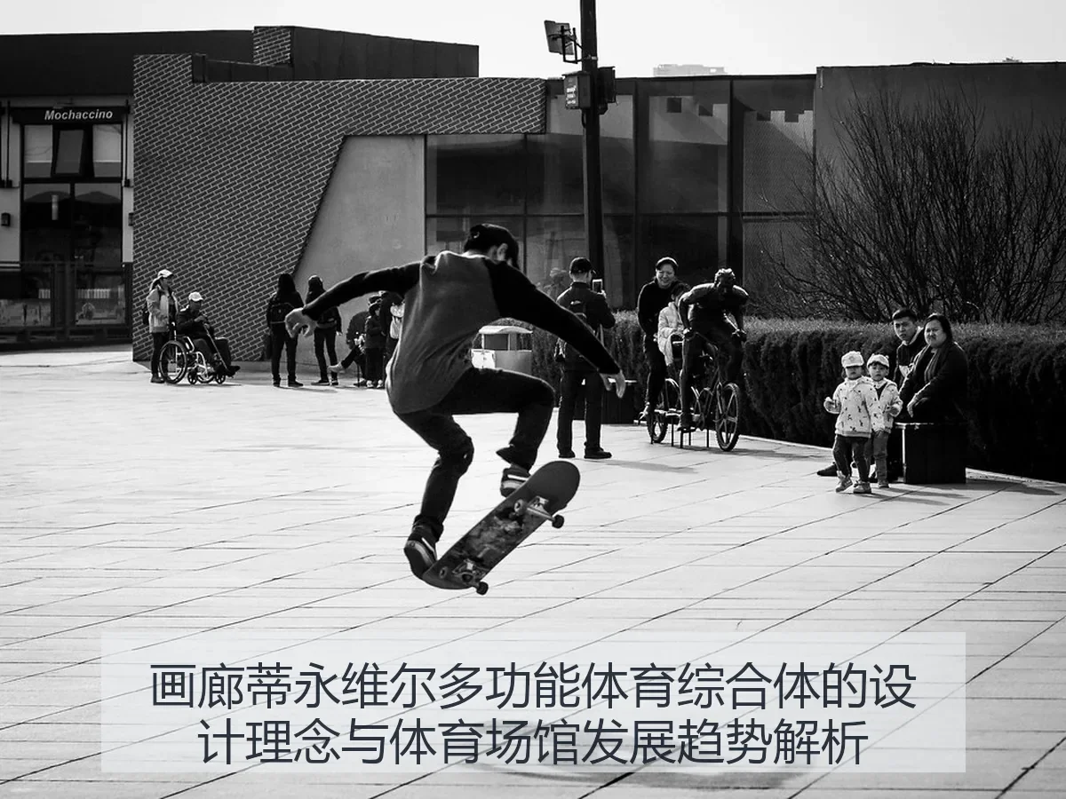 画廊蒂永维尔多功能体育综合体的设计理念与体育场馆发展趋势解析（ayxAPP）